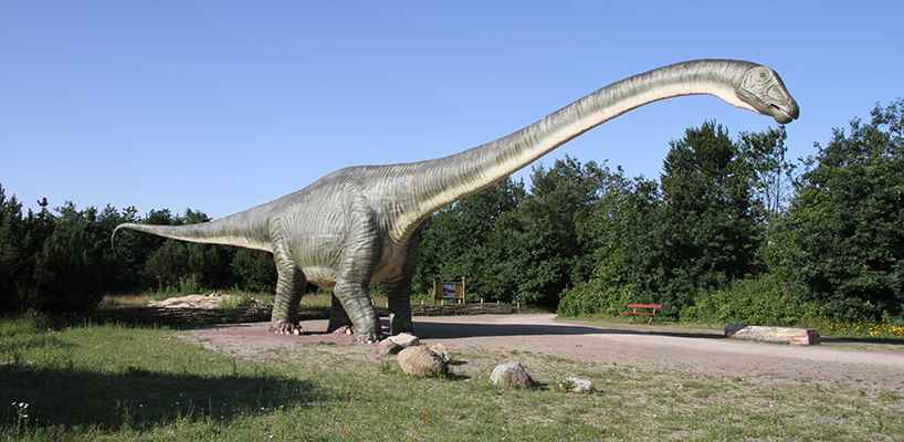 丹麥哥本哈根動(dòng)物園