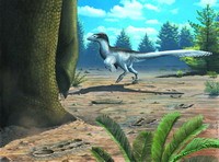 甘肅發(fā)現(xiàn)亞洲最多的恐爪龍類足跡