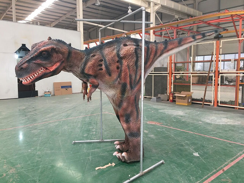 仿真恐龍皮套，客戶與皮套互動