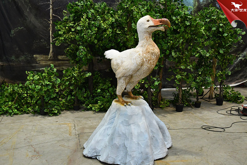 渡渡鳥(niǎo)，仿真動(dòng)物制作廠家