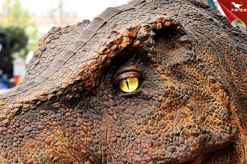 仿真恐龍，霸王龍龍頭模型