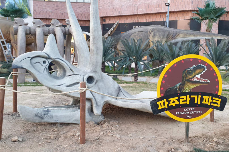 韓國(guó)樂天，因新冠疫情，客戶自己動(dòng)手安裝