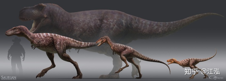 霸王龍一生分為21個(gè)階段，其中兩個(gè)階段最為關(guān)鍵！