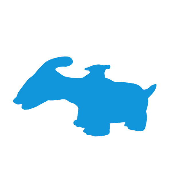 電動(dòng)恐龍車(chē)